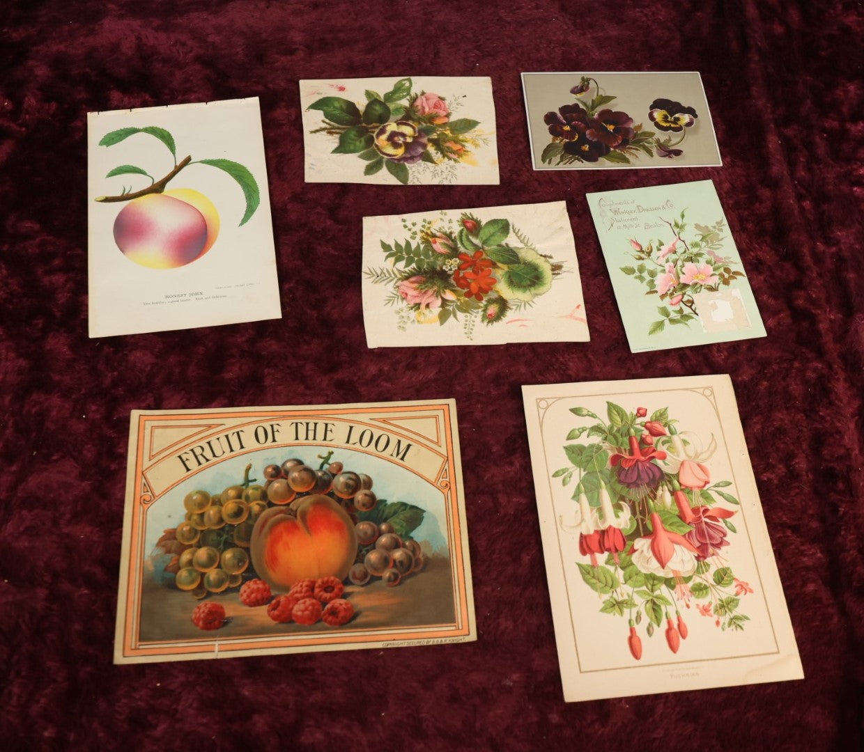 Lot 131 - Ephemera Lot - Seven Piece Antique Floral And Botanical Chromo Litho Grouping Including Book Plates And Fruit of The Loom