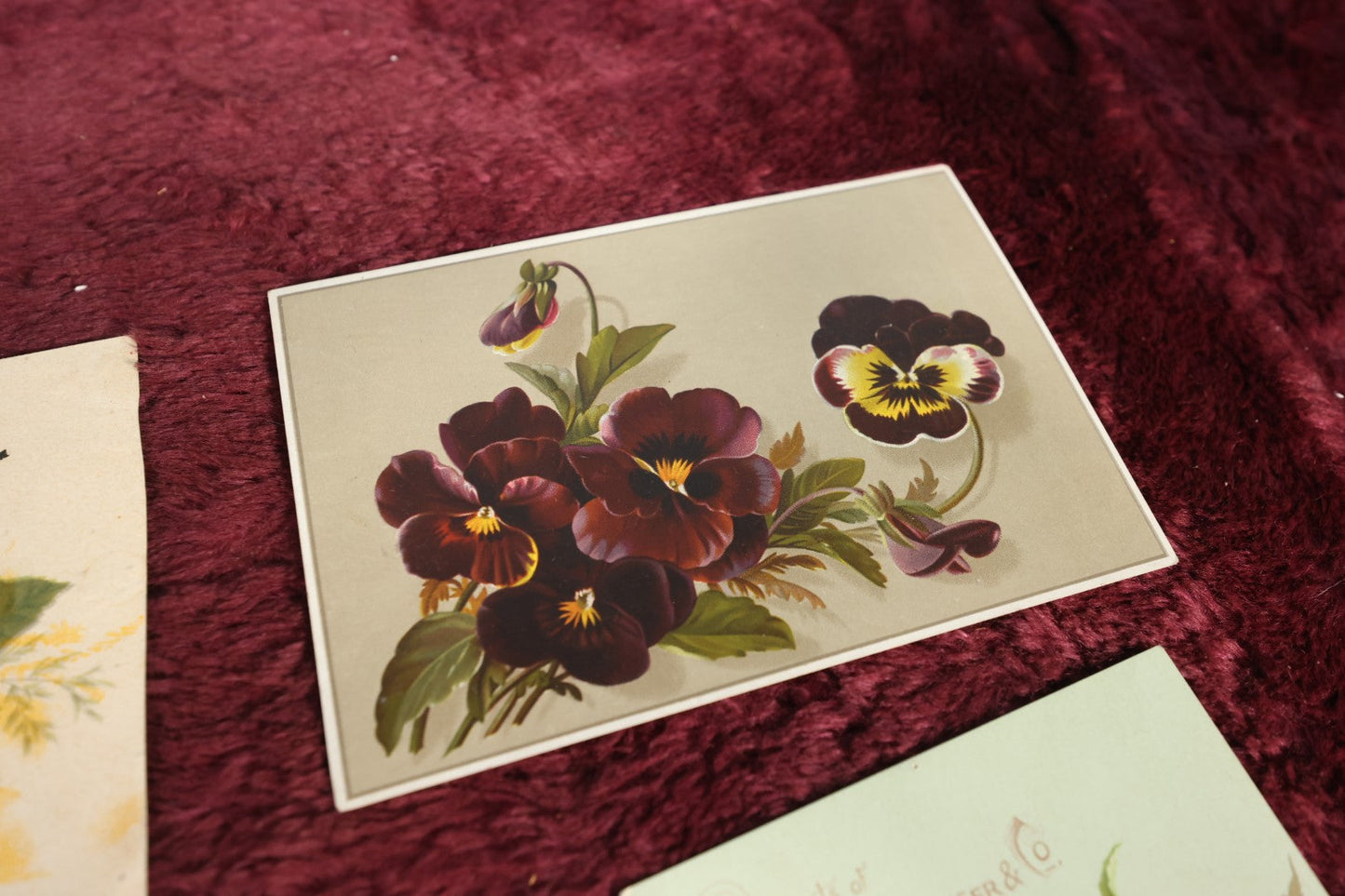 Lot 131 - Ephemera Lot - Seven Piece Antique Floral And Botanical Chromo Litho Grouping Including Book Plates And Fruit of The Loom