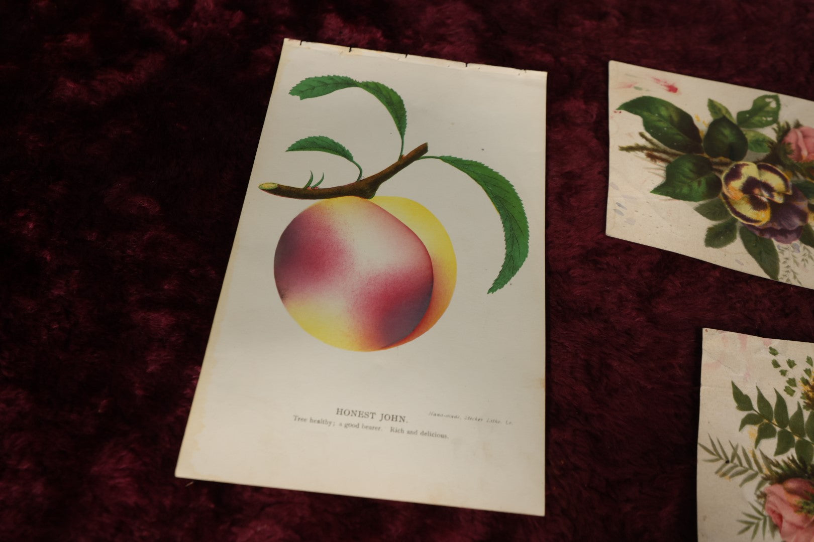 Lot 131 - Ephemera Lot - Seven Piece Antique Floral And Botanical Chromo Litho Grouping Including Book Plates And Fruit of The Loom