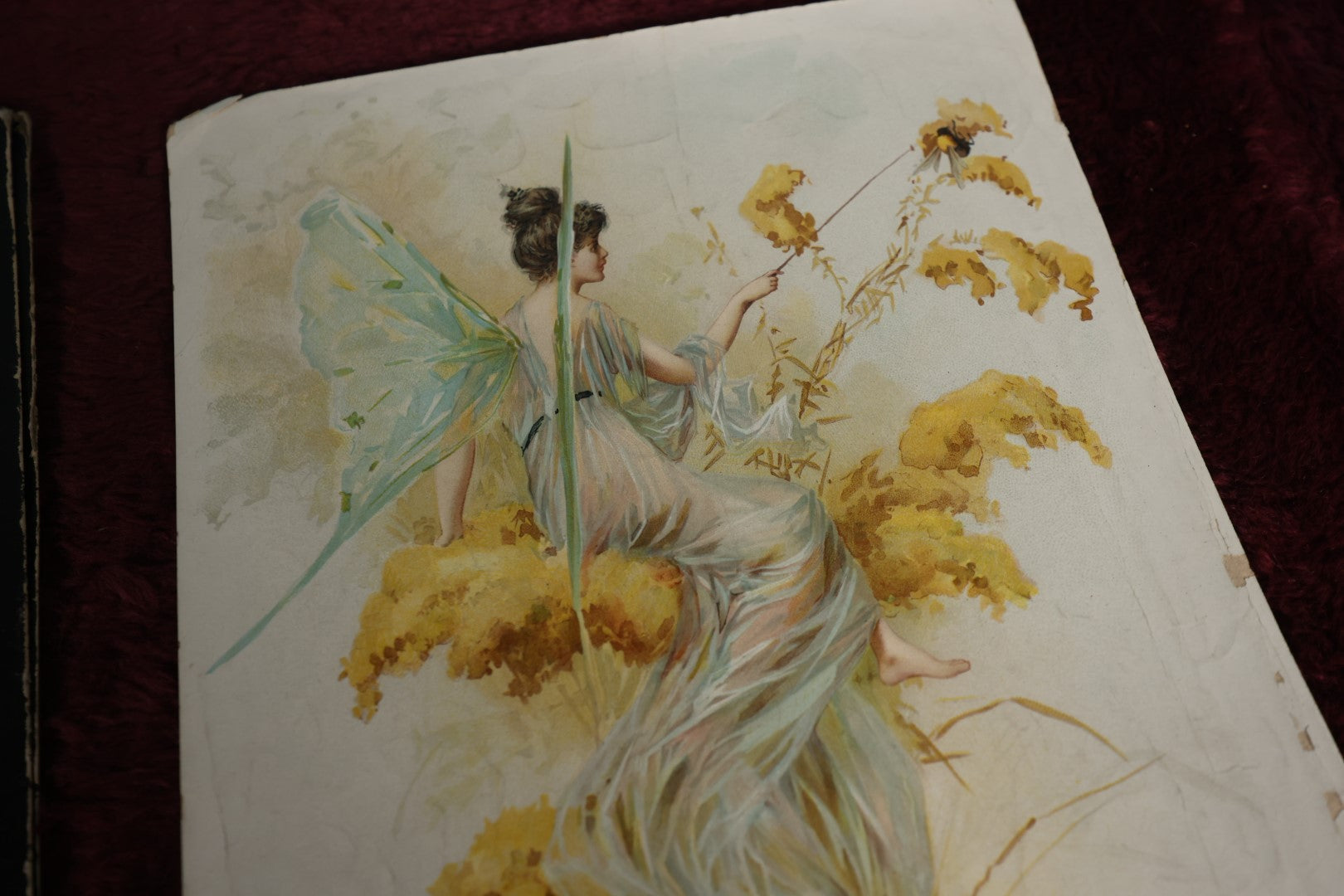 Lot 137 - Ephemera Lot - Chromo Litho of Fairy In Black Folder,  "Goldenrod" By William A. Mc Culloch, G.H. Bueck And Co Lithographer