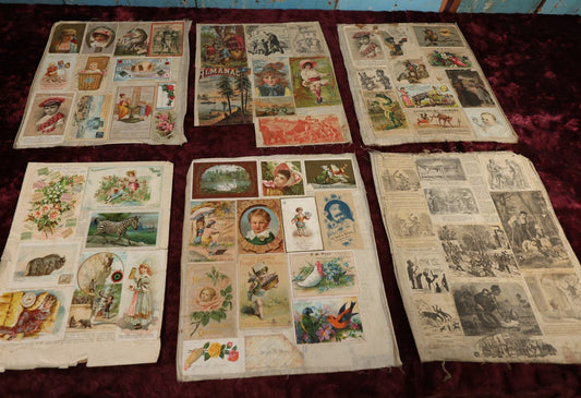 Lot 153 - Ephemera Lot - Six Loose Linen Scrapbook Pages With Victorian And Edwardian Trade Cards, Including Many With Anthropormphic Frogs, And Unusual Clippings And Comics