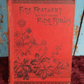 Lot 160 - Fine Feathers Do Not Make Fine Birds, By Kate J. Neily, The Proverb Series, Illustrated Novel / Story, Copyright 1868, Lee And Shepard, Boston, Relist