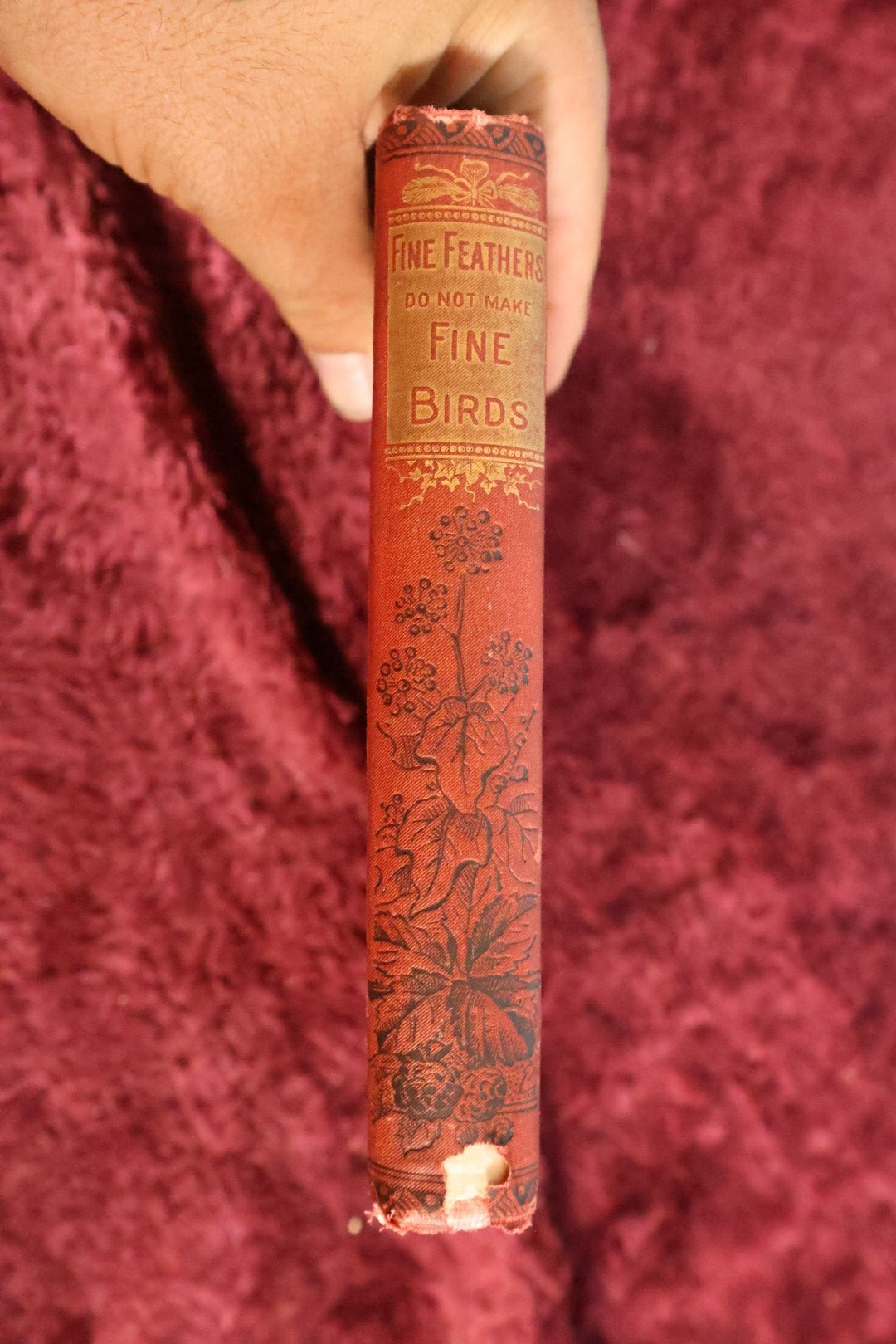 Lot 160 - Fine Feathers Do Not Make Fine Birds, By Kate J. Neily, The Proverb Series, Illustrated Novel / Story, Copyright 1868, Lee And Shepard, Boston, Relist