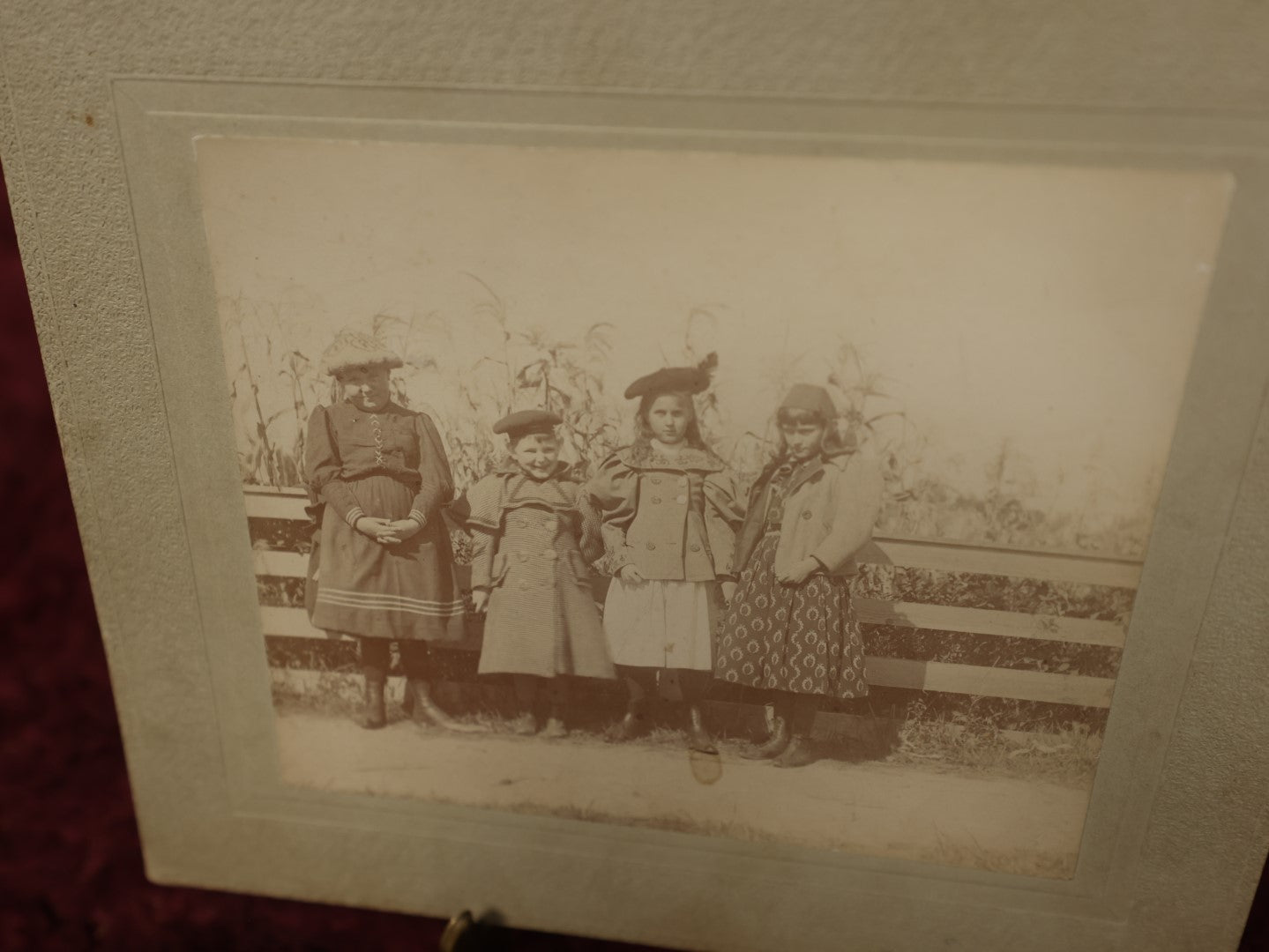 Lot 157 - Pair Of Boarded Photos, Group Of Children By Corn Field, On Farm, Identified On Back, Circa October 1896