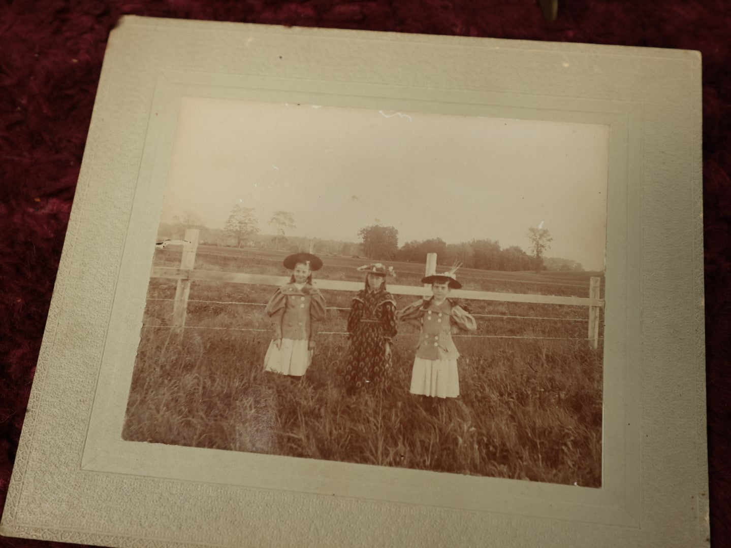 Lot 157 - Pair Of Boarded Photos, Group Of Children By Corn Field, On Farm, Identified On Back, Circa October 1896