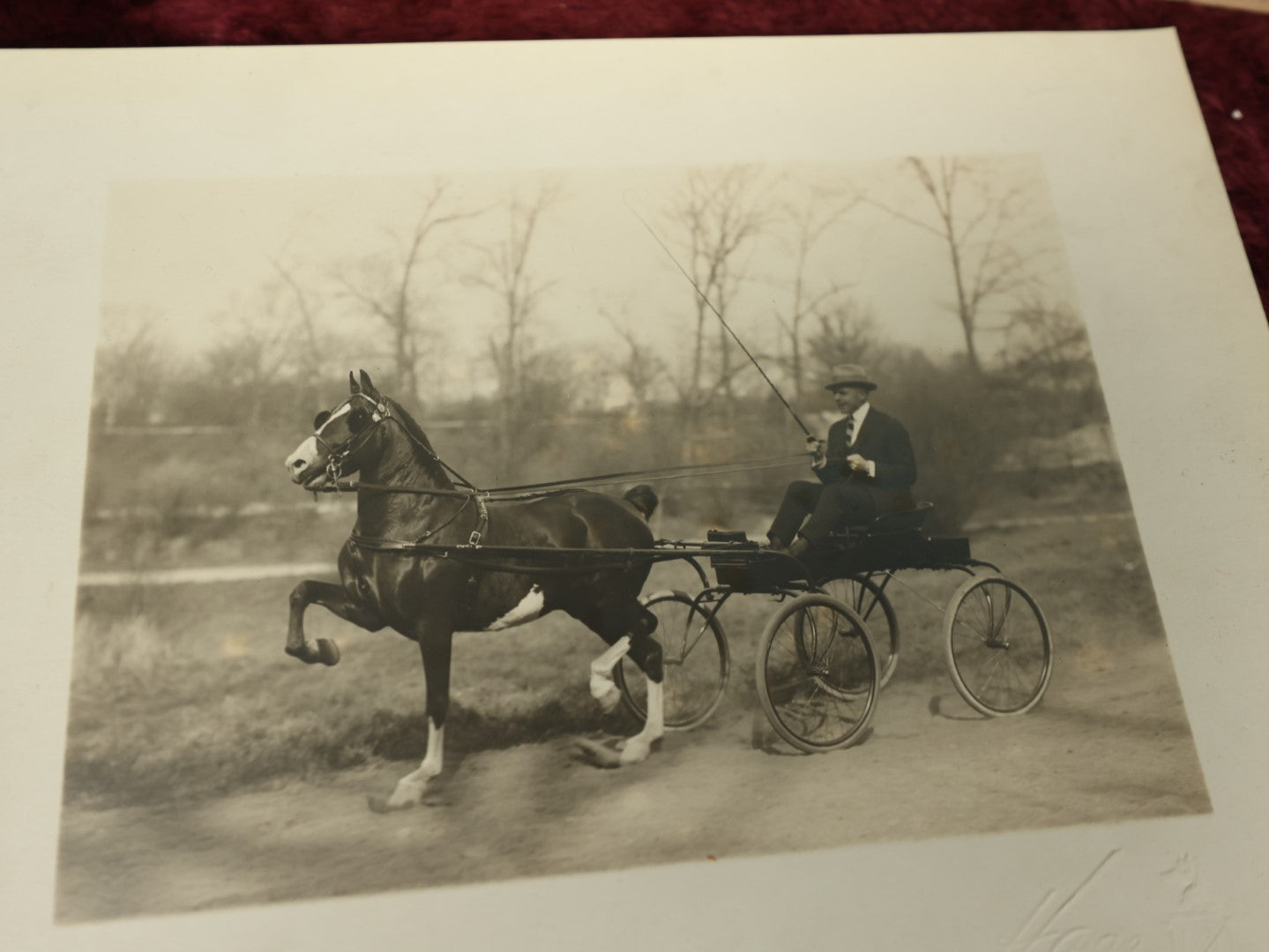 Lot 160 - Grouping Of Three Transportation Related Photos - Man With Early Automobile, Man On Horse And Buggy, And Horse In Front Of House, Including By Haas Photographer Of New York