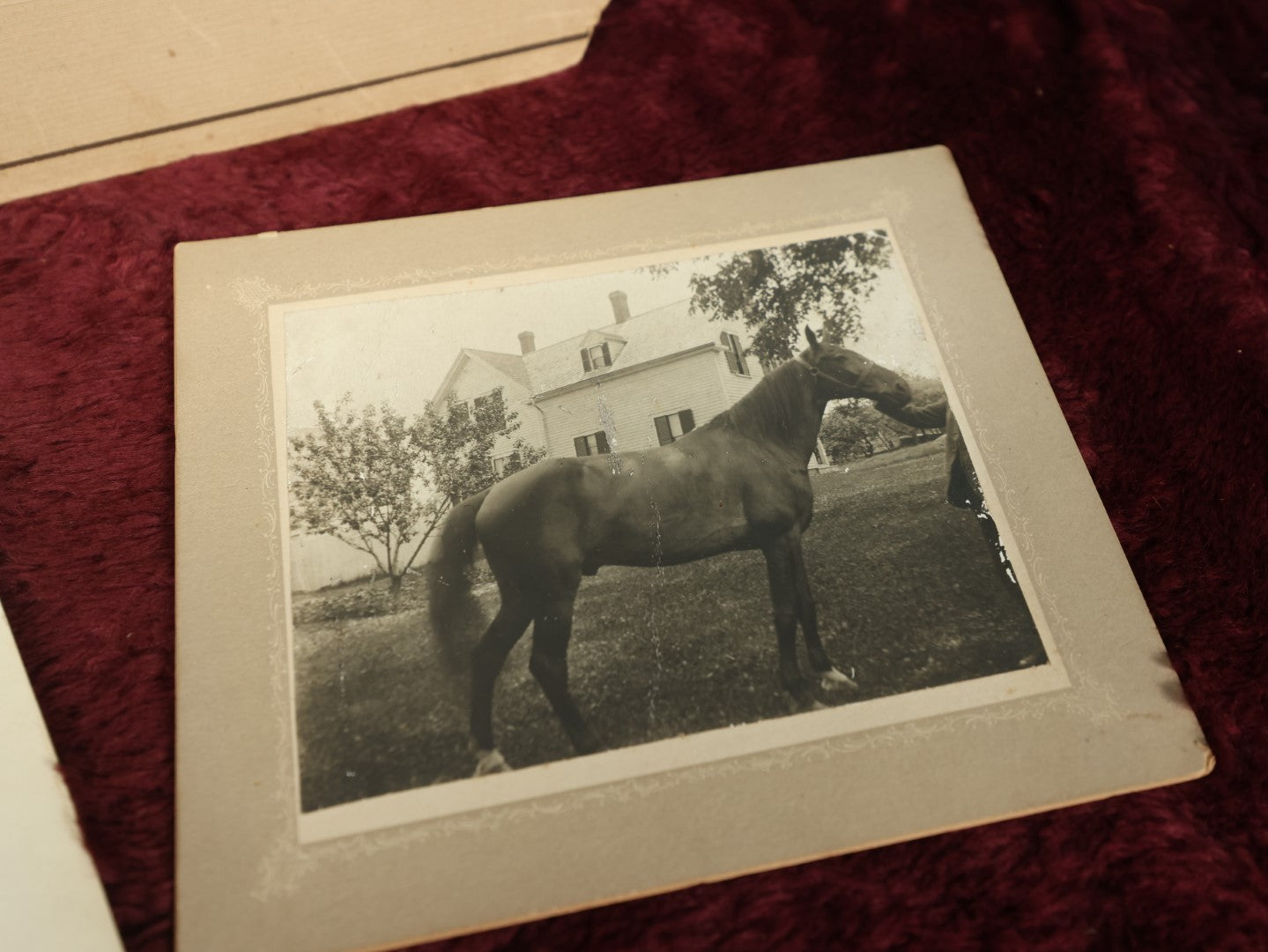 Lot 160 - Grouping Of Three Transportation Related Photos - Man With Early Automobile, Man On Horse And Buggy, And Horse In Front Of House, Including By Haas Photographer Of New York