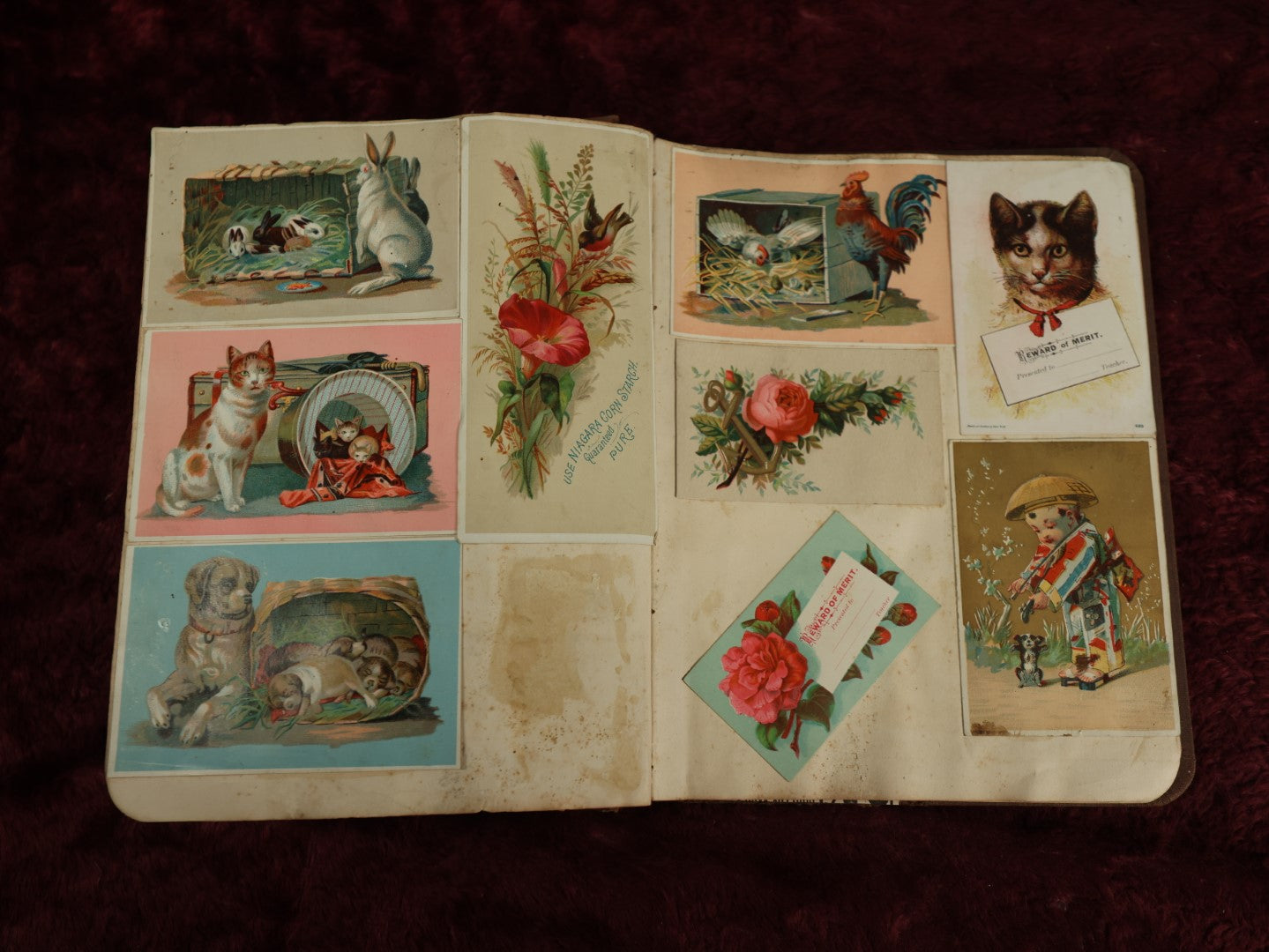 Lot 016 - Antique Victorian Scrapbook Album With Trade Cards, Die Cuts, Including Large Card With Frog, Dog, Many Cats, And More