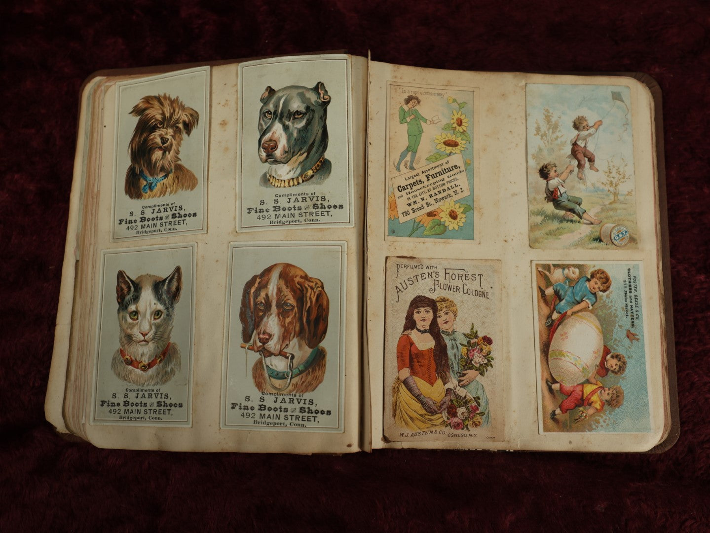 Lot 016 - Antique Victorian Scrapbook Album With Trade Cards, Die Cuts, Including Large Card With Frog, Dog, Many Cats, And More