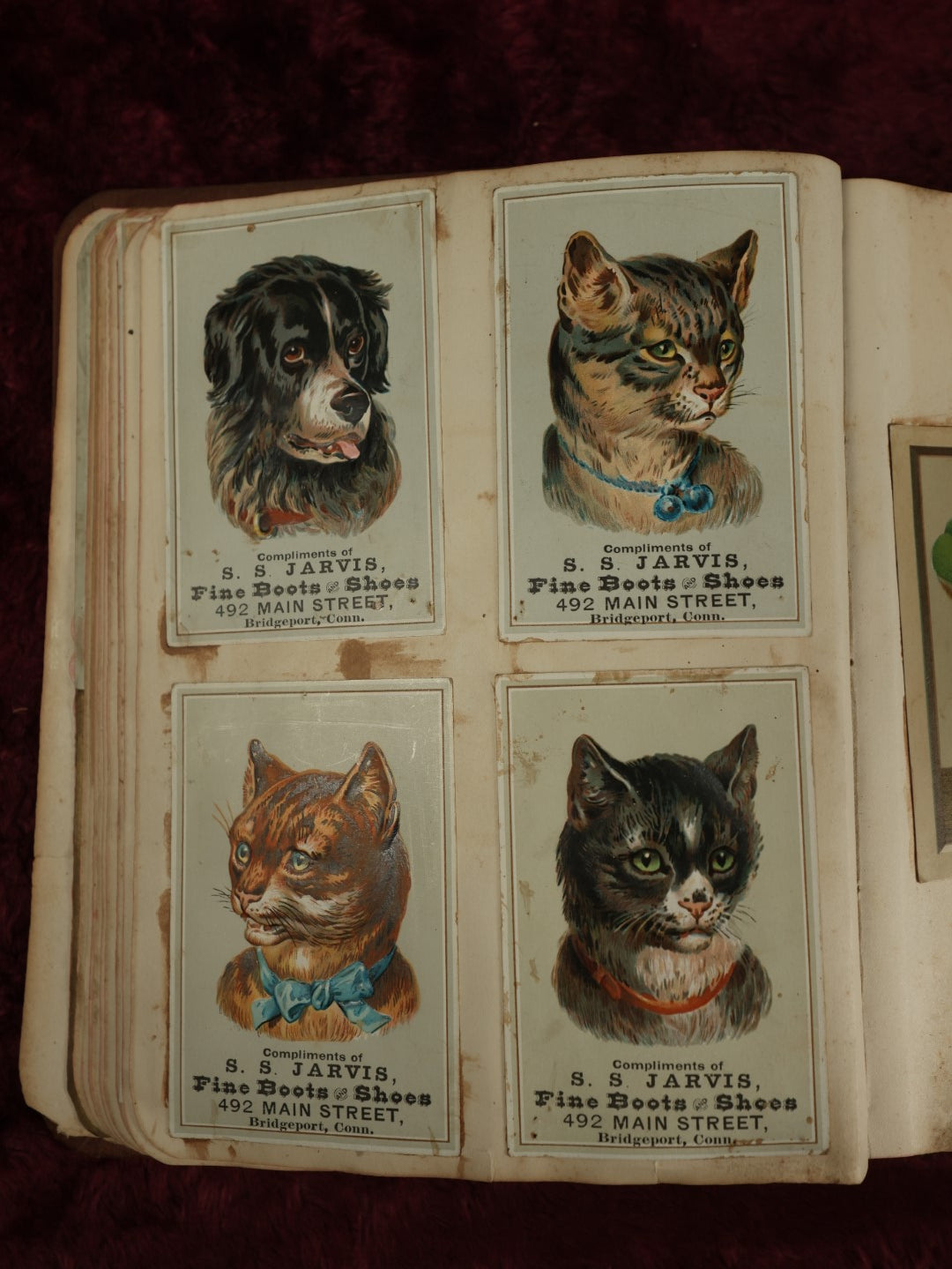 Lot 016 - Antique Victorian Scrapbook Album With Trade Cards, Die Cuts, Including Large Card With Frog, Dog, Many Cats, And More