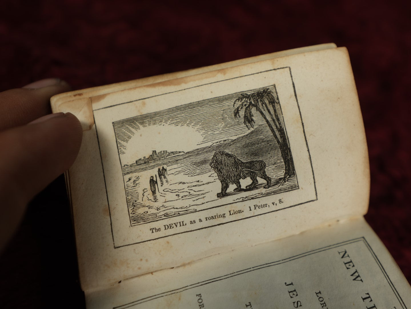 Lot 018 - Antique Red Leather Bound New Testament Miniature Personal Bible Belonging To Hannah F. Piper, Published By S. Andrus And Son, Hartford, 1843, Containing Engraving Of "The Devil As A Roaring Lion"