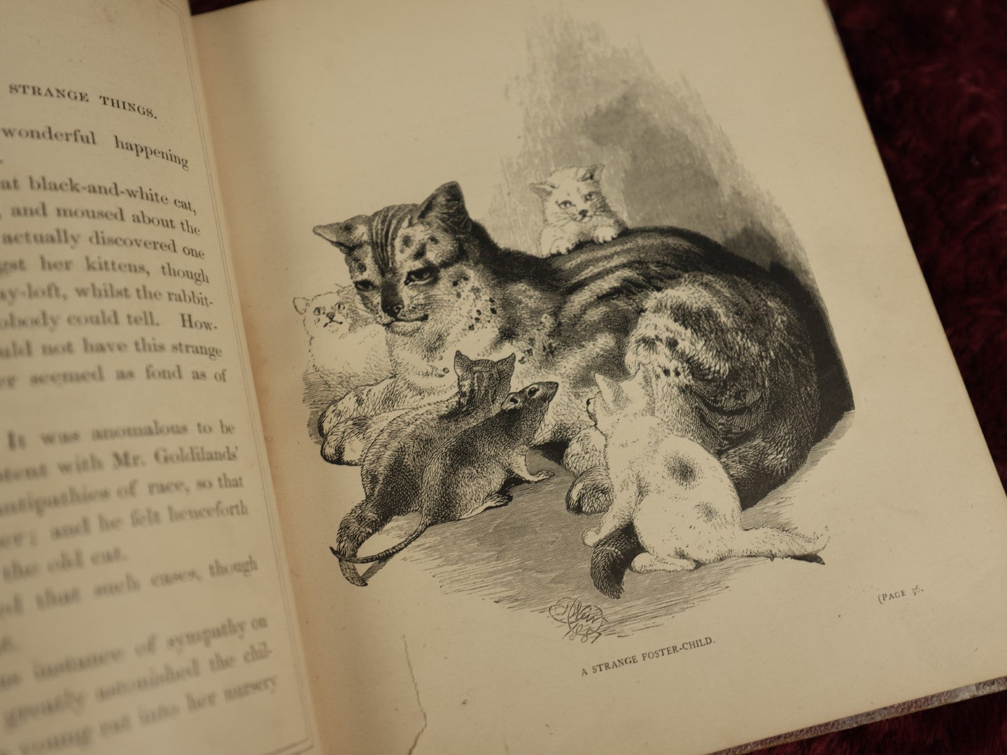 Lot 021 - Antique Illustrated Children's Book, "Our Four Footed Friends," By Mary Howitt, With Kitten On Cover And Many Cats, Dogs, And Horses Throughout, Printed In London By George Watson,