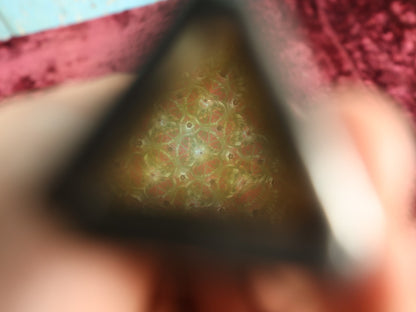 9/12/2024 AUCTION PHOTO GALLERY