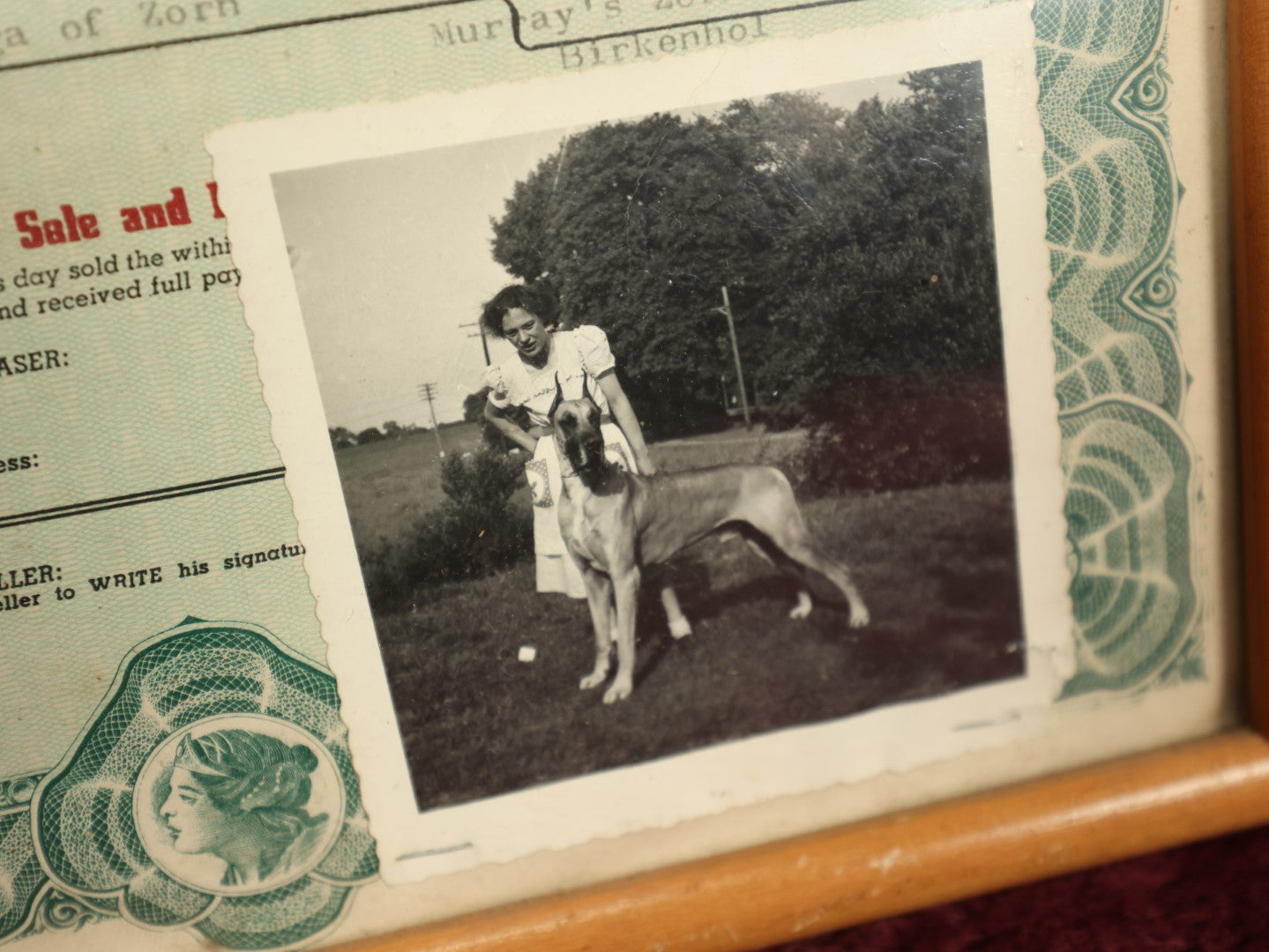 9/12/2024 AUCTION PHOTO GALLERY