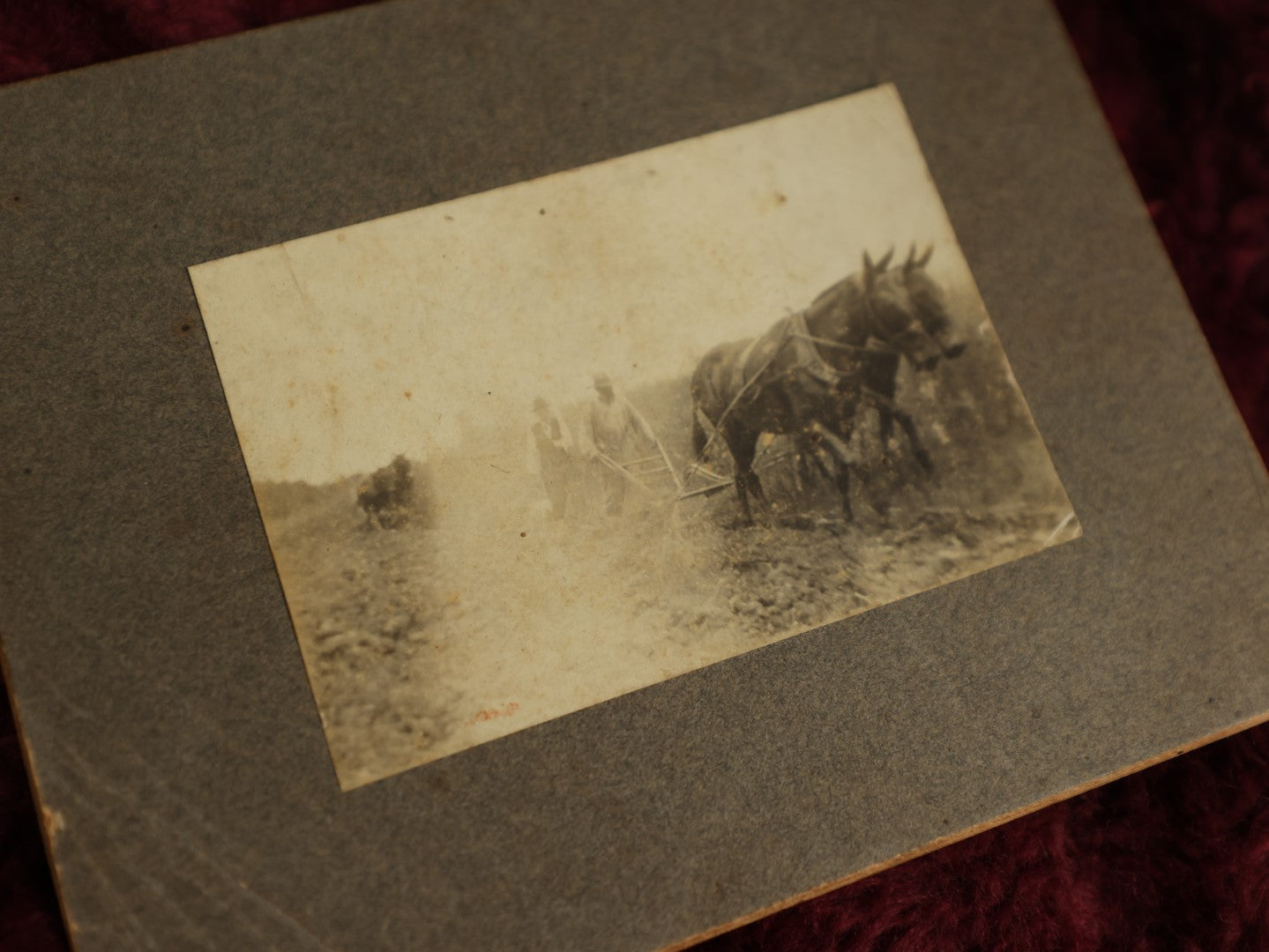 Lot 098 - Grouping Of Ten Antique Boarded Photos Including Photos Of Farming, Portraits, And More