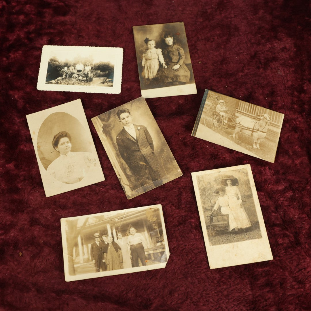 9/12/2024 AUCTION PHOTO GALLERY