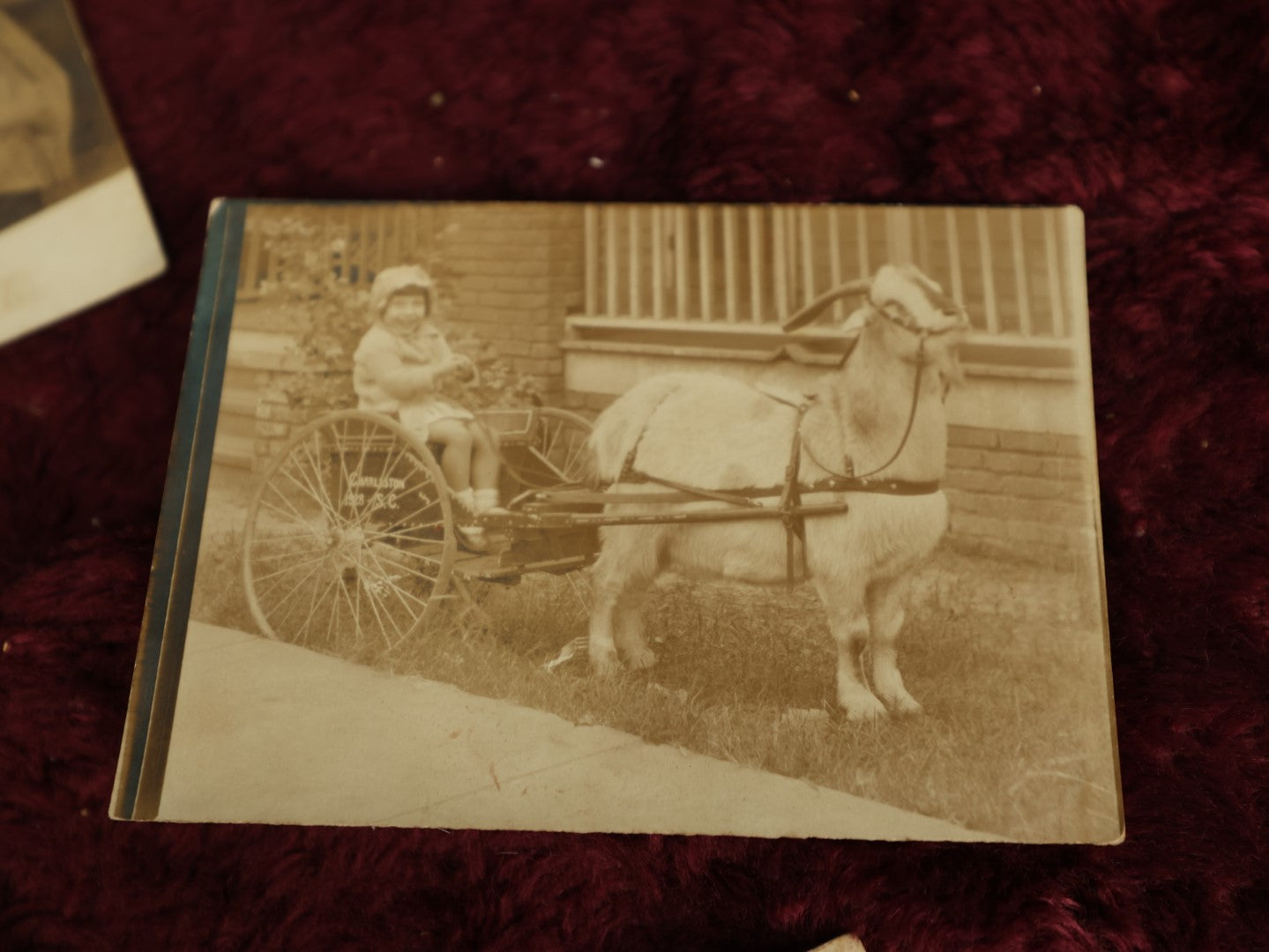 Lot 099 - Grouping Of Seven Antique Real Photo Postcards R.P.P.C. And Snap Shot Photos Including Child Beind Pulled On Cart By Goat