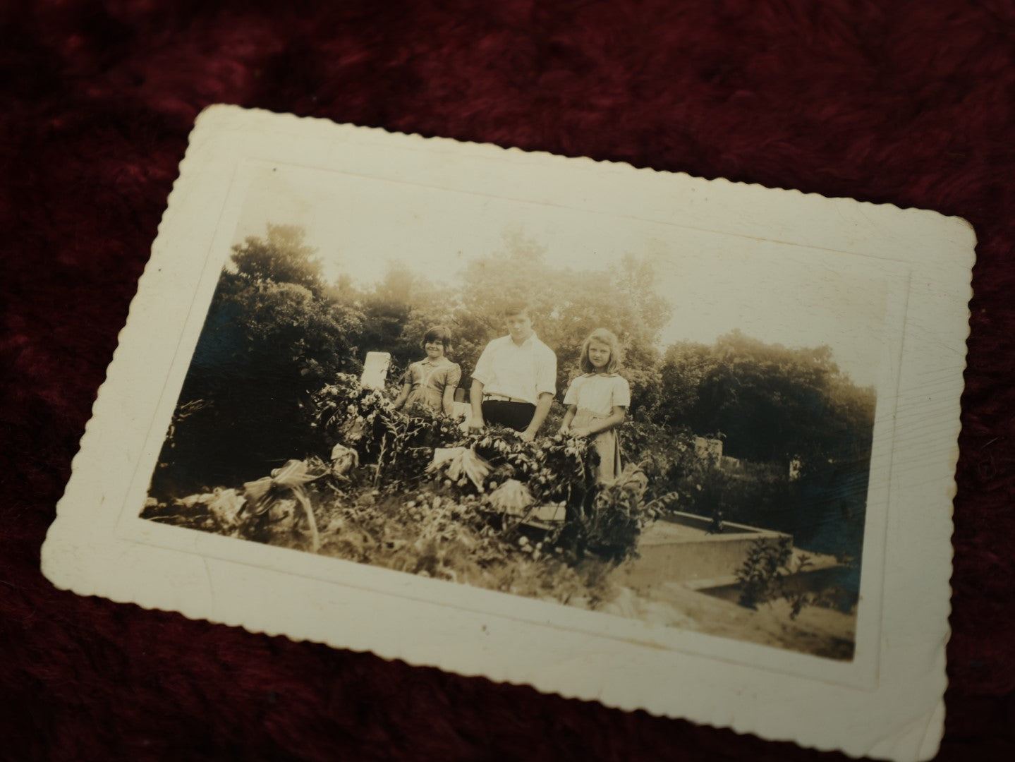 Lot 099 - Grouping Of Seven Antique Real Photo Postcards R.P.P.C. And Snap Shot Photos Including Child Beind Pulled On Cart By Goat