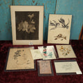 Lot 069 - Grouping Of Eight Assorted Original Botanical Drawings, Watercolors, Paintings, And Sketches, 1880s To 1900s