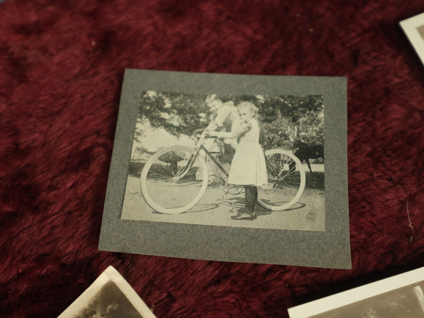 Lot 124 - Snapshot Grouping, Five Photos Of Children And Pets, Including Man Holding Fish, Kids On Bikes, In Prams, And Dog, Etc