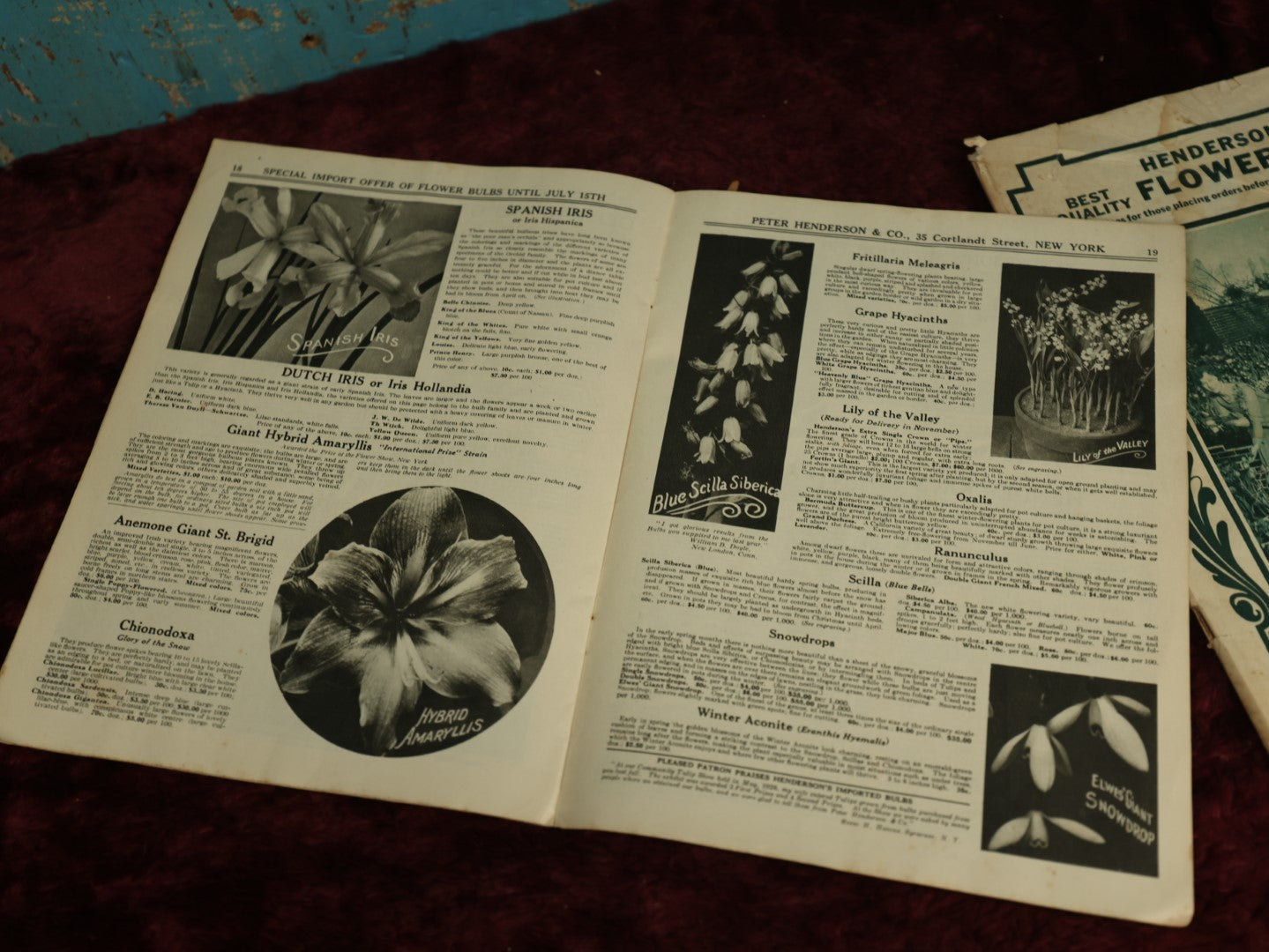 Lot 125 - Pair Of Ephemera Booklets, Henderson's Flower Bulbs, Circa 1930s, Peter Henderson & Co.