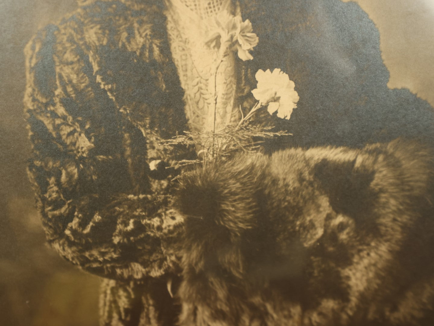 Lot 136 - Antique Framed Boarded Photo Of Extravagantly Dressed Woman In Large Hat, Fur Muff, Modern Framing