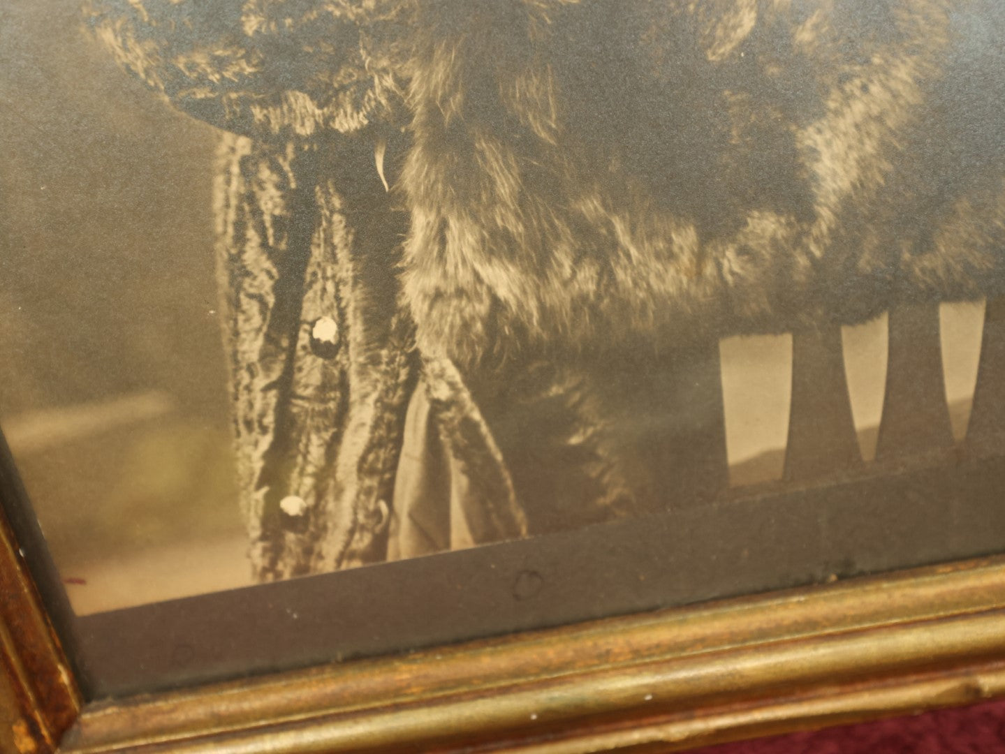 Lot 136 - Antique Framed Boarded Photo Of Extravagantly Dressed Woman In Large Hat, Fur Muff, Modern Framing