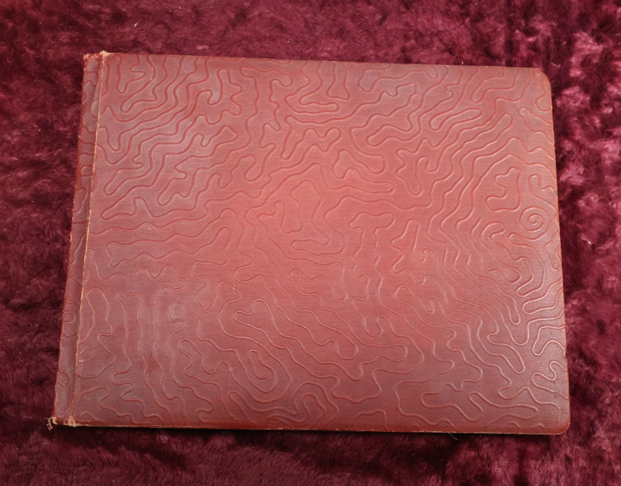 Lot 007 - Important Circa 1900-1920 Photo Album With Battleships, Ocean Liners, Yachts, Pitbulls, Cats, Auto-Racing, West Point, Travel Destinations, Sideshow Bear, Dozens Of Photos, Good Condition, Well Documented