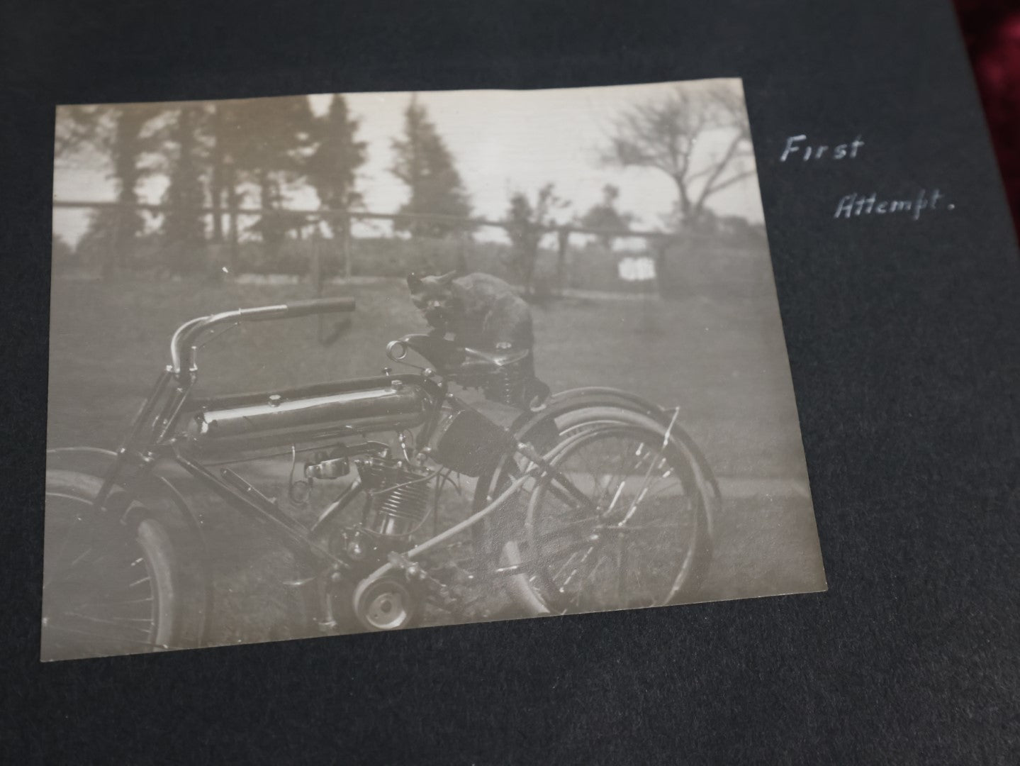 Lot 007 - Important Circa 1900-1920 Photo Album With Battleships, Ocean Liners, Yachts, Pitbulls, Cats, Auto-Racing, West Point, Travel Destinations, Sideshow Bear, Dozens Of Photos, Good Condition, Well Documented