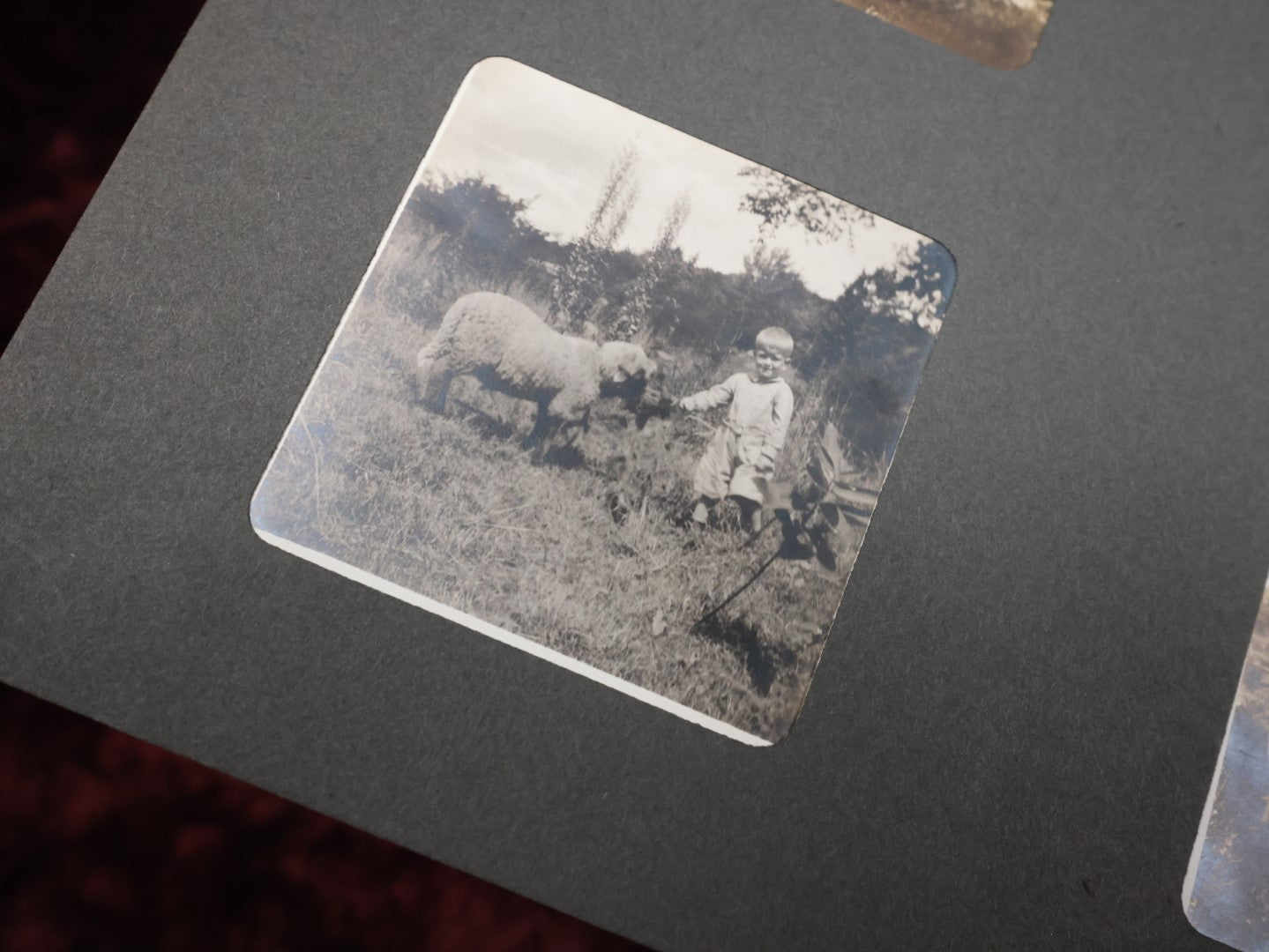 Lot 141 - Antique Black Photo Album With Many Photos, Mostly Of Families And Children At Play And On Trips