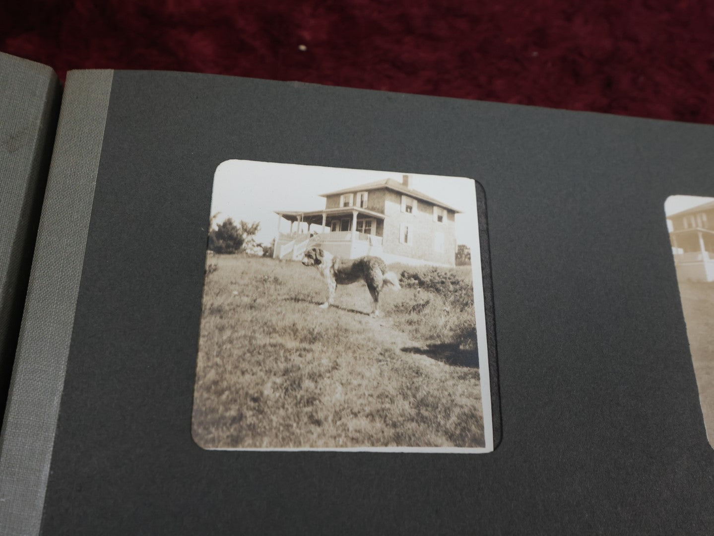 Lot 141 - Antique Black Photo Album With Many Photos, Mostly Of Families And Children At Play And On Trips