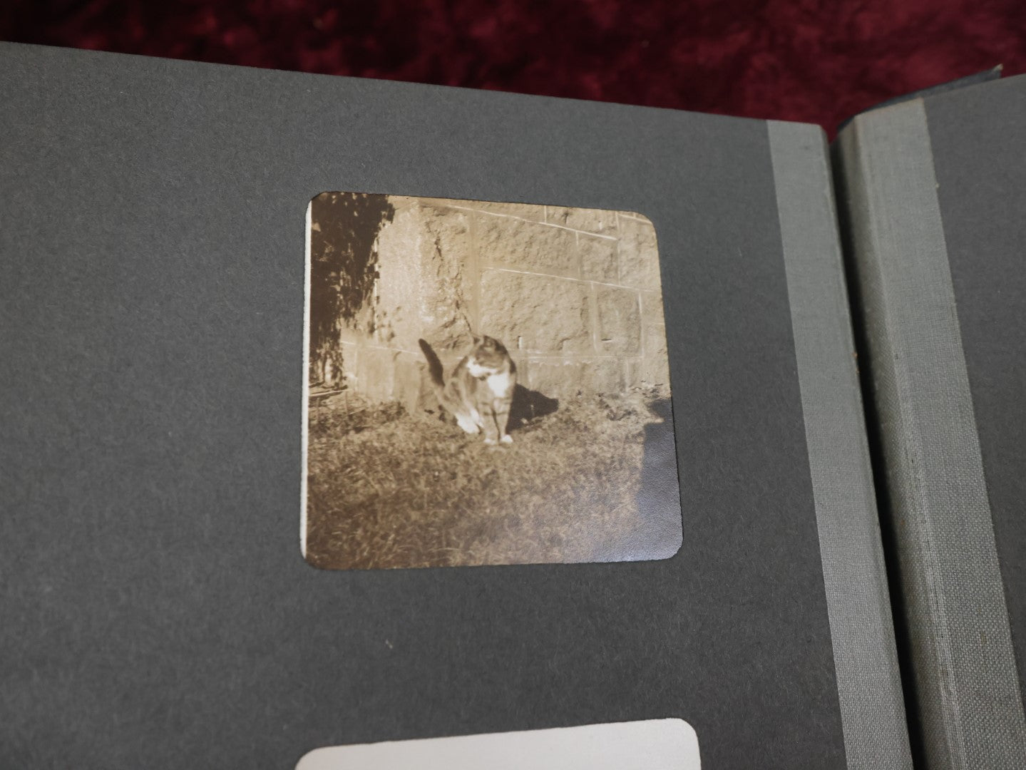 Lot 141 - Antique Black Photo Album With Many Photos, Mostly Of Families And Children At Play And On Trips