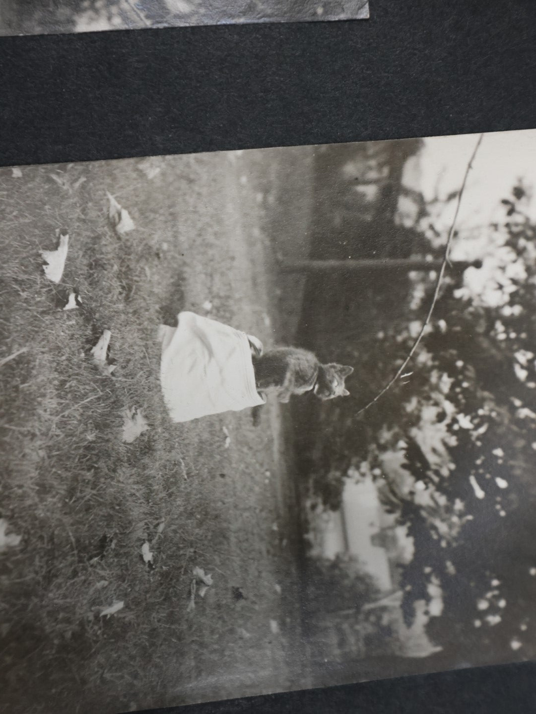 Lot 007 - Important Circa 1900-1920 Photo Album With Battleships, Ocean Liners, Yachts, Pitbulls, Cats, Auto-Racing, West Point, Travel Destinations, Sideshow Bear, Dozens Of Photos, Good Condition, Well Documented