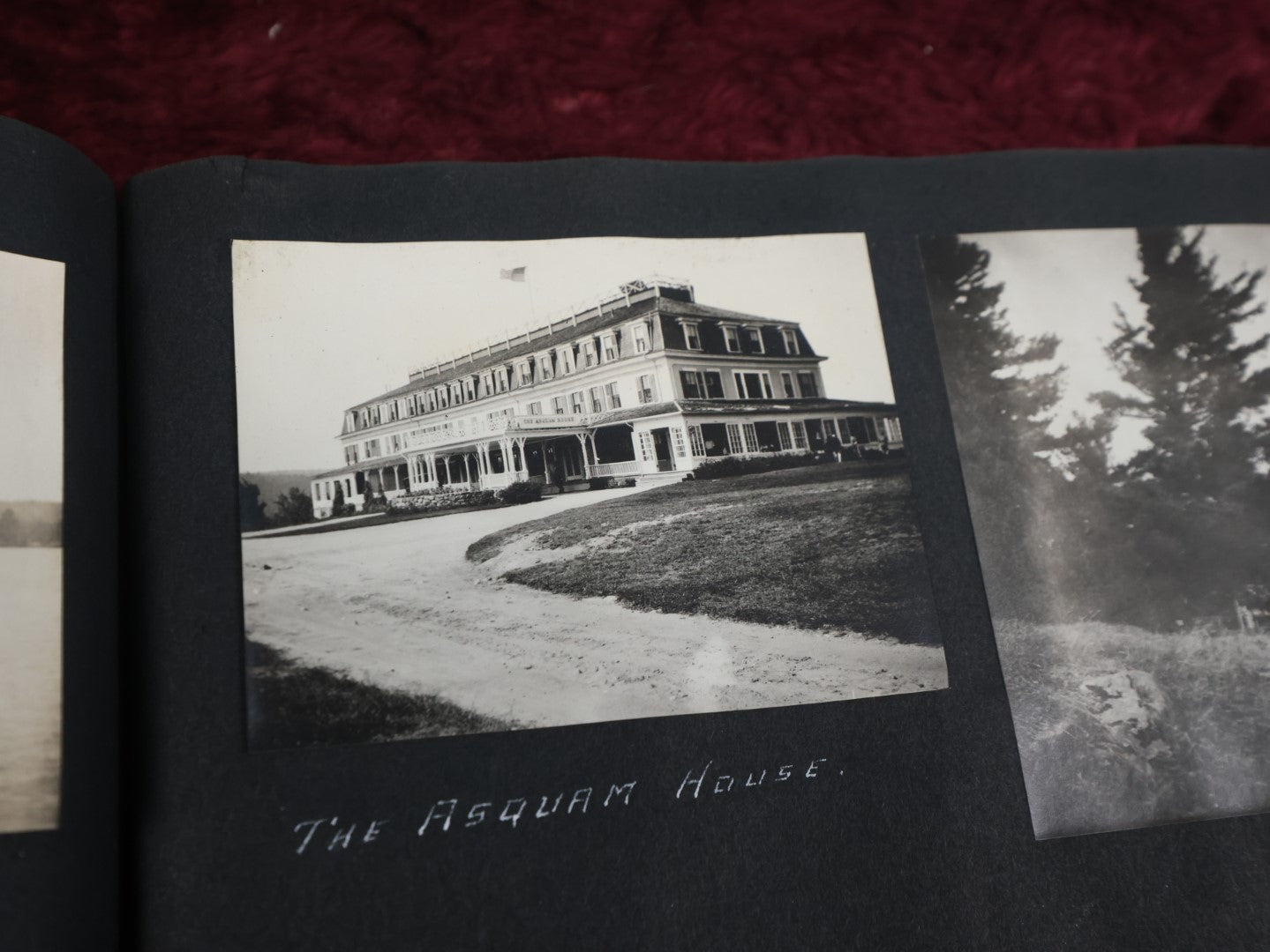 Lot 007 - Important Circa 1900-1920 Photo Album With Battleships, Ocean Liners, Yachts, Pitbulls, Cats, Auto-Racing, West Point, Travel Destinations, Sideshow Bear, Dozens Of Photos, Good Condition, Well Documented