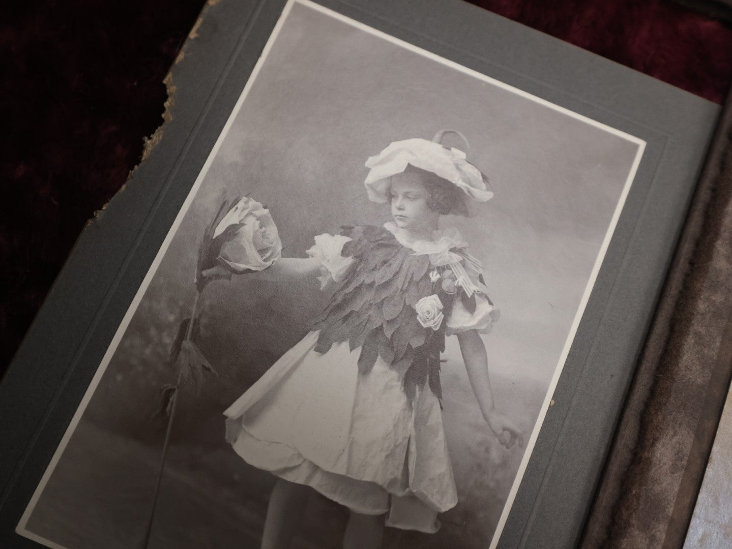 Lot 065 - Important Early 20th Century Collection Of Thirty + Smaller Size Boarded And Foldered Photographs Of Costumed Women Dancers, Mostly Photographed In Manchester, New Hampshire