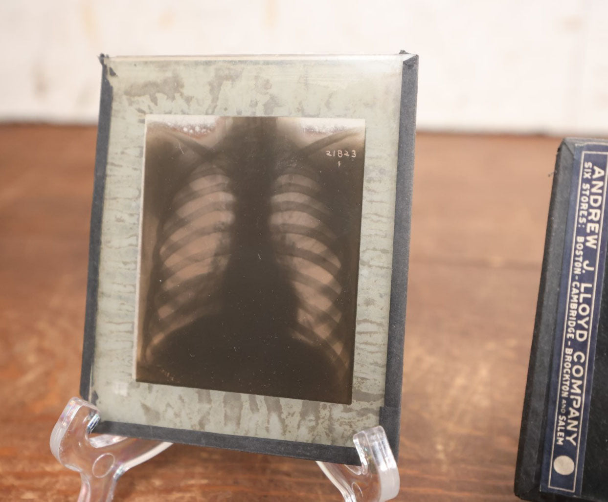 Lot 039 - Grouping Of Twelve Antique Magic Lantern Slide X-Rays Of The Ribs, Chest, And Torso