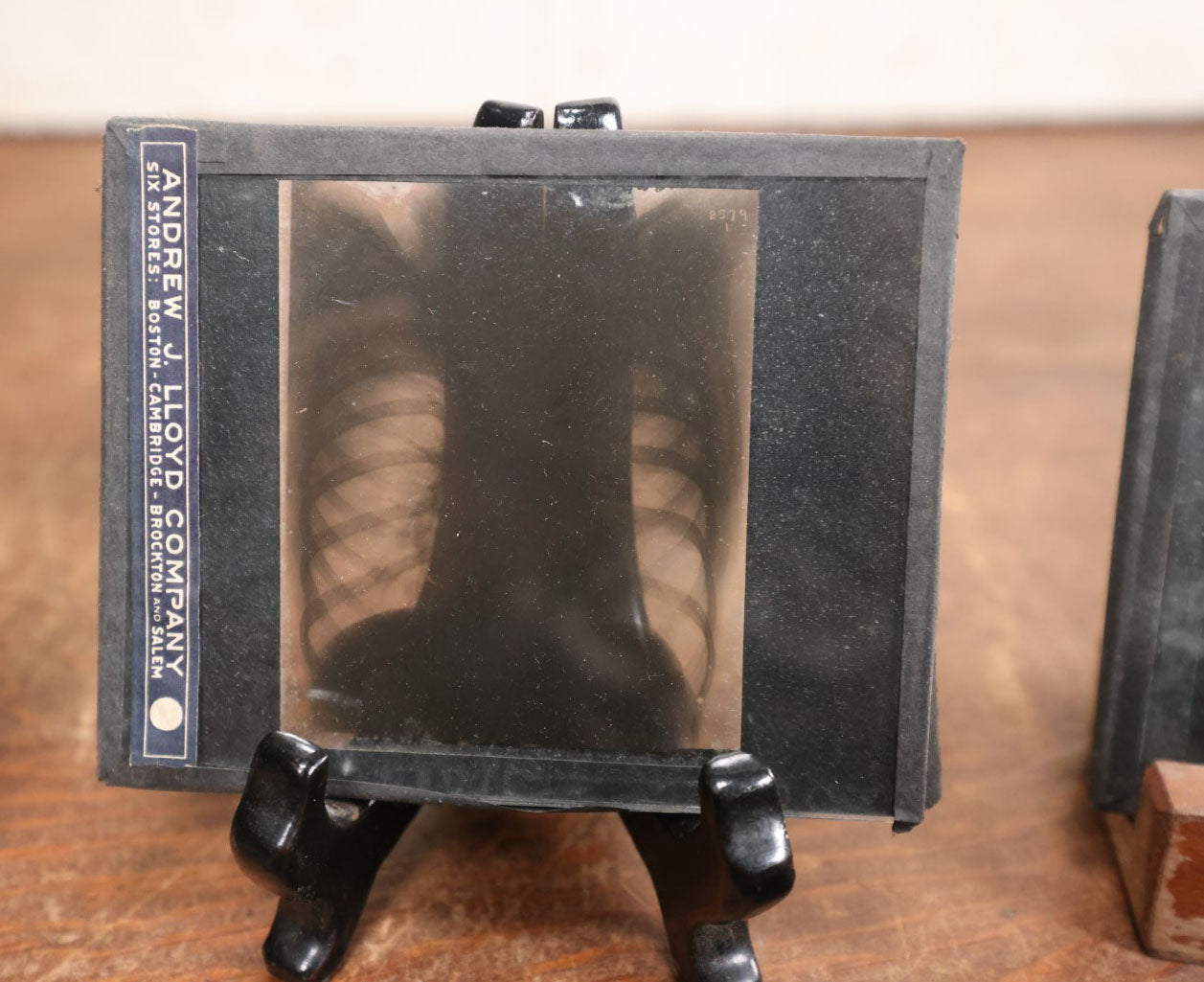 Lot 039 - Grouping Of Twelve Antique Magic Lantern Slide X-Rays Of The Ribs, Chest, And Torso