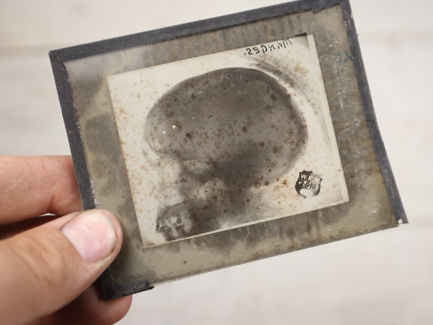 Lot 040 - Grouping Of Ten Antique Magic Lantern Slide X-Rays Of The Head And Skull