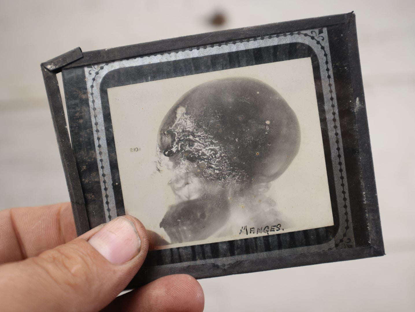 Lot 040 - Grouping Of Ten Antique Magic Lantern Slide X-Rays Of The Head And Skull