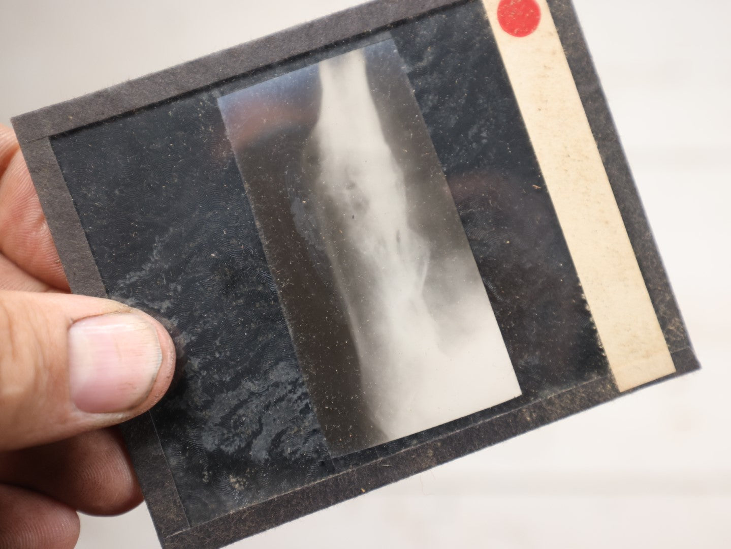 Lot 041 - Boxed Grouping Of Five Antique Magic Lantern Slide X-Rays Of The "Sciuto Case," Per Note On Box, Likely Showing Pathology