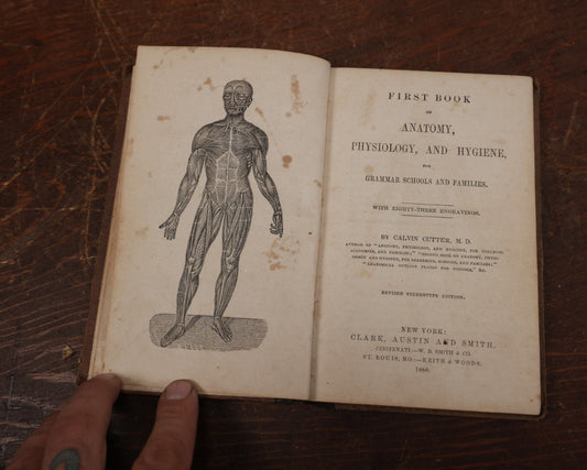 Lot 124 - "First Book Of Anatomy, Physiology, And Hygiene" Antique Book By Calvin Cutter, M.D., With Eighty-Three Engravings, Published 1956