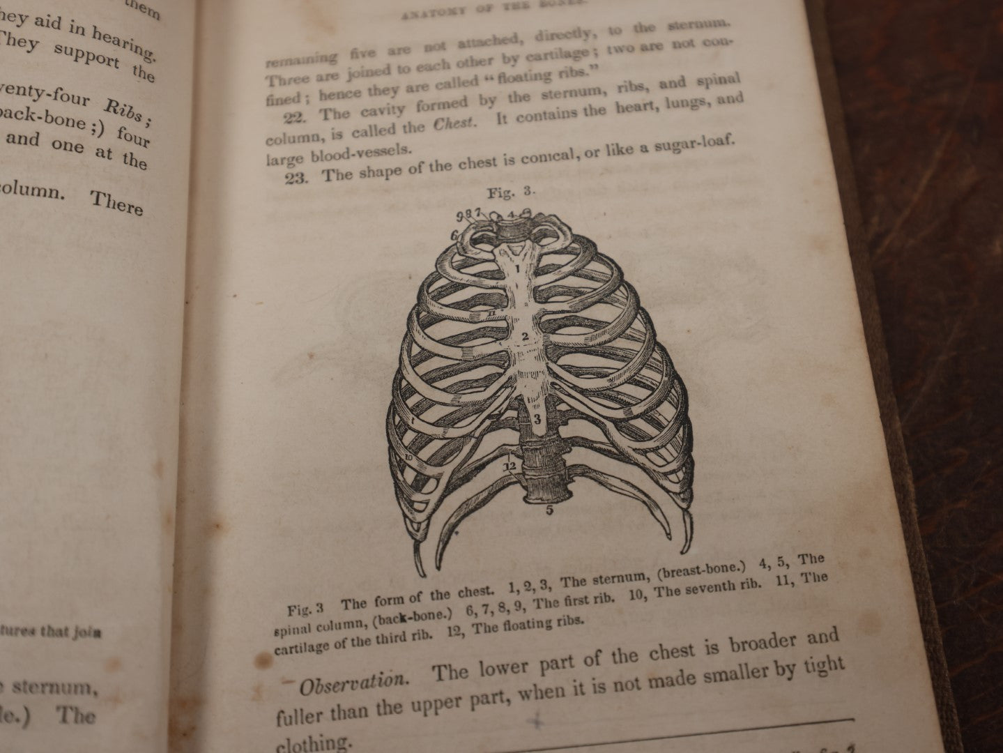 Lot 124 - "First Book Of Anatomy, Physiology, And Hygiene" Antique Book By Calvin Cutter, M.D., With Eighty-Three Engravings, Published 1956