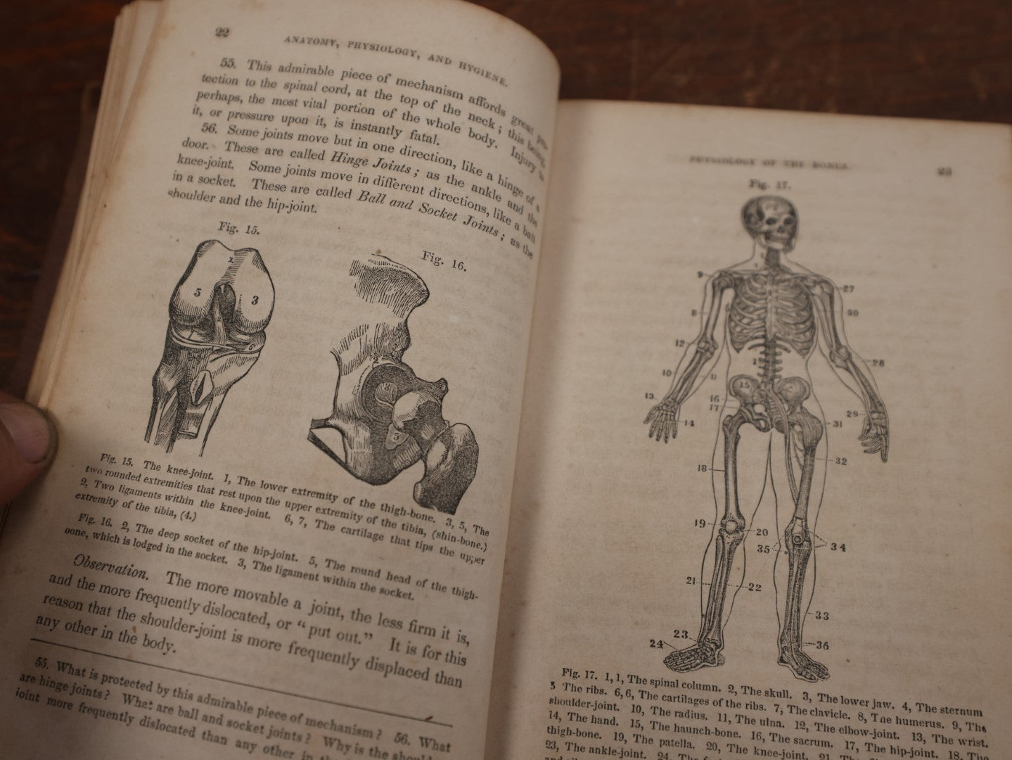 Lot 124 - "First Book Of Anatomy, Physiology, And Hygiene" Antique Book By Calvin Cutter, M.D., With Eighty-Three Engravings, Published 1956