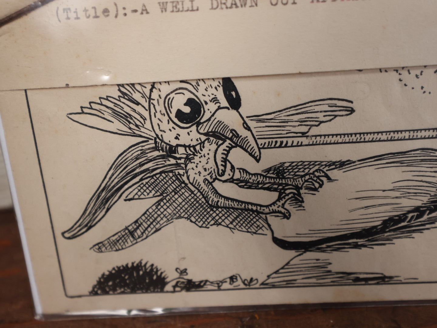 Lot 157 - Vintage Pen And Ink Comic Drawing Of Two Birds Fighting Over Worm, Titled "A Well Drawn Out Affair, " Artist Signed