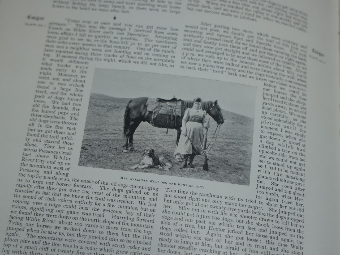 Lot 038 - "Hoofs, Claws, And Antlers Of The Rocky Mountains, By The Camera," Photographic Reproductions Of Wild Game From Life With An Introduction By Theodore Roosevelt, Copyright 1894, Frank S. Thayer, Publisher, Denver, Co.