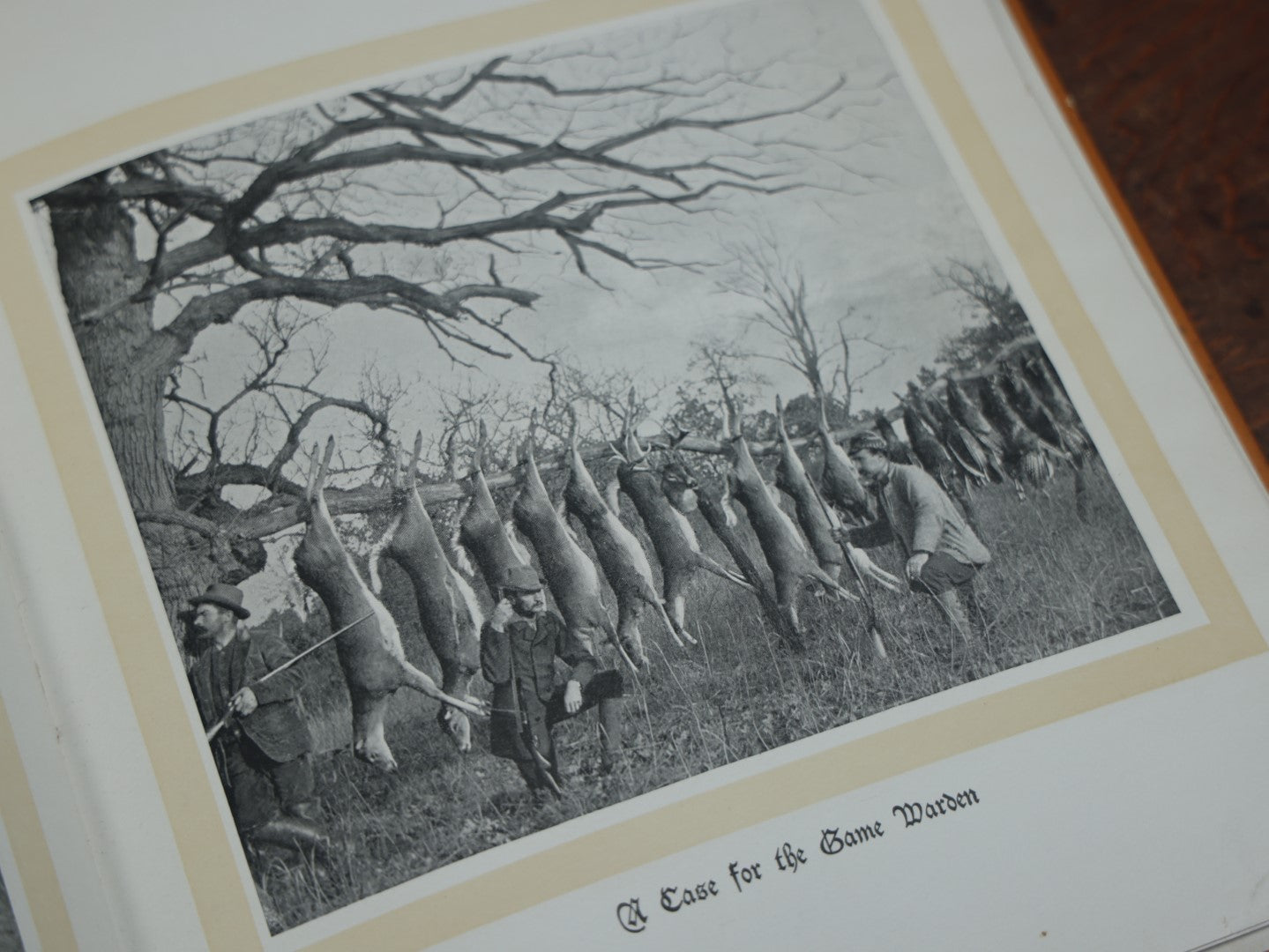 Lot 038 - "Hoofs, Claws, And Antlers Of The Rocky Mountains, By The Camera," Photographic Reproductions Of Wild Game From Life With An Introduction By Theodore Roosevelt, Copyright 1894, Frank S. Thayer, Publisher, Denver, Co.