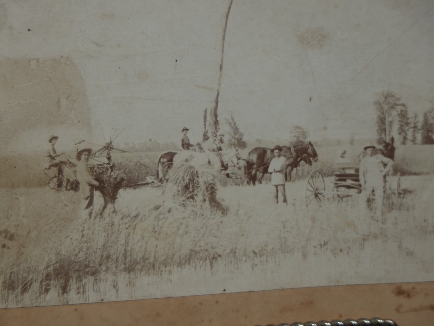 Lot 077 - Pair Of Antique Boarded Occupational Photographs Of Field Hands, Farm Equipment