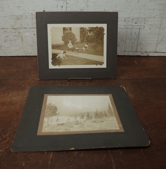 Lot 081 - Pair Of Antique Boarded Photos Of People Outdoors With Their Dogs