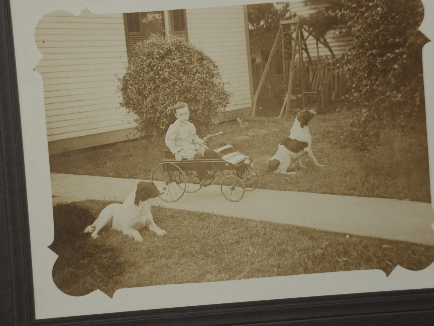 Lot 081 - Pair Of Antique Boarded Photos Of People Outdoors With Their Dogs