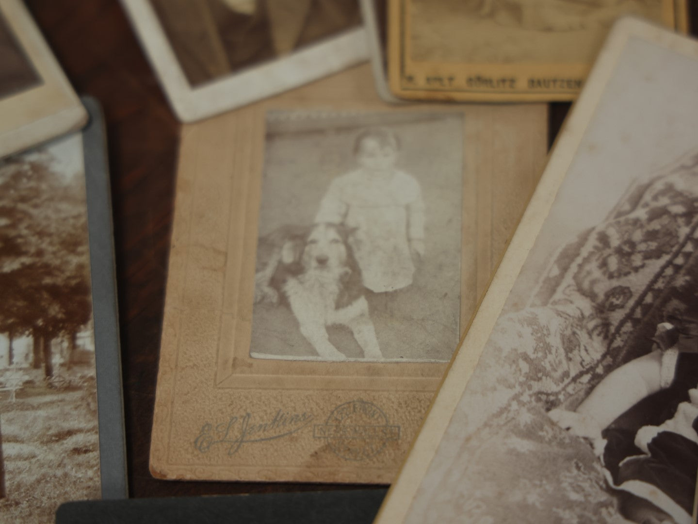 Lot 103 - Large Grouping Of 50+ Cabinet Card, C.D.V., Boarded Photos, And R.P.P.C., Mostly Portraits, People, Animals, Women, Children